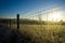 Frozen Grasses on barb wire fence. UK