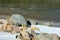 Frozen green river and rocks