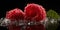Frozen Group of Delicious Fresh Raspberries As Defocused Background