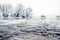 Frozen havel river with ice floes drifting