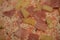 Frozen hawaii pizza with anana macro high quality modern prints fifty megapixels