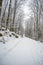 Frozen Hiking path in the forest during winter in odenwald, germany