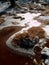 Frozen and hoarfrost grass on the mountain. Frozen grass and boulders bellow trees