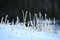 Frozen ice covered blades of grass amidst snowy winter landscape