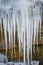 Frozen Icicles