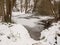 Frozen lagoon of water lake surface snow woods bare trees