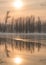 Frozen lake in forest sun reflection, winter reflection landscape