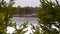 A frozen lake in the gap of pine branches, among the taiga forests early spring.