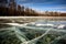 Frozen Lake Khubsugul. Beautiful forest near the ice surface on a frosty day. Natural background