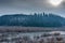 Frozen lake with lifeless vegetation at wintertime