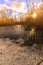 Frozen lake in the light of sunrise below a blue sky in winter