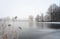 Frozen lake with reed and bare trees covered by hoar frost on a on a cold foggy winter day, gray landscape with copy space