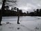 Frozen lake at Reserva El CaÃ±i, Pucon, Chile