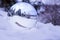 Frozen lake in snow season through lensball, Abant Turkey