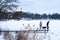 Frozen lake in winter, with pier, people and dog