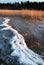 Frozen lakeshore in winter sunlight