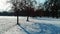 Frozen landscape view of a local Chicago park covered in snow