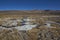 Frozen in Lauca National Park in Chile