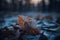 Frozen Leaf at Winter Dawn