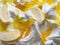 Frozen Lemon flavour gelato - full frame detail. Close up of a white surface texture of Ice cream