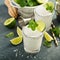 Frozen lime and mint margarita