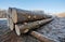 Frozen logs laying on winter ground