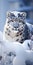 Frozen Majesty: Capturing The Overperfectnesses Beauty Of The Snow Leopard In Tundra Photography