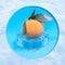 Frozen mandarin on ice cube