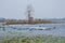 Frozen marsh on a cold winter day in the flemish countryside