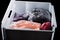 Frozen mashed strawberries, carrots, currants in a plastic bag in a drawer from the refrigerator black background, isolate