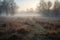 frozen meadow with morning mist, showcasing their eerie and beautiful landscape