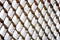 The frozen metal bars of a fence in the snow.