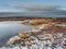 Frozen moorland bog