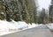 Frozen mountain road with firs pines and snow