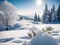 Frozen Panoramas winter : Captivating Beauty in 35mm Glory
