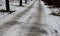 Frozen paths in the countryside with a little snow and rocks in the deep entrance and in the alley. they glide and are snowy, but