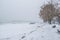 Frozen pathway in the park by the river