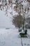 Frozen pathway in the park by the river