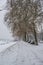 Frozen pathway in the park by the river on a winter day