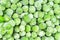 Frozen pea peases texture background. Green pease background pattern.