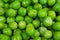 Frozen pea peases texture background. Green pease background pattern.