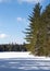 Frozen Peck Lake in Algonquin Park in the winter