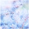 Frozen pine tree background