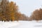 Frozen pond in snowfall, Catherine Park, Pushkin