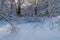 A frozen pond surrounded by a picturesque snow-covered forest.