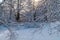 A frozen pond surrounded by a picturesque snow-covered forest.