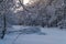 A frozen pond surrounded by a picturesque snow-covered forest.