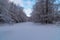 A frozen pond surrounded by a picturesque snow-covered forest.