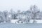 Frozen pond, trees and bushes are covered with snow, nature in winter