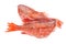 Frozen red sea bass